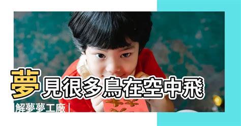 夢見鳥飛進房間|周公解夢夢見鳥